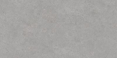 DL500800R Фондамента серый светлый обрезной 60x119,5 керамический гранит